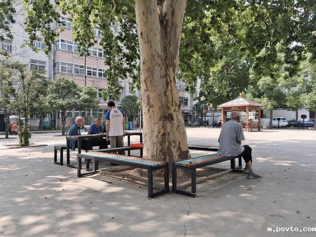 鸿翔小区绿树成荫 朱江淼提供.jpg 鸿翔小区绿树成荫 朱江淼提供.jpg