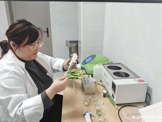 微信图片_20241113095020.jpg 微信图片_20241113095020.jpg